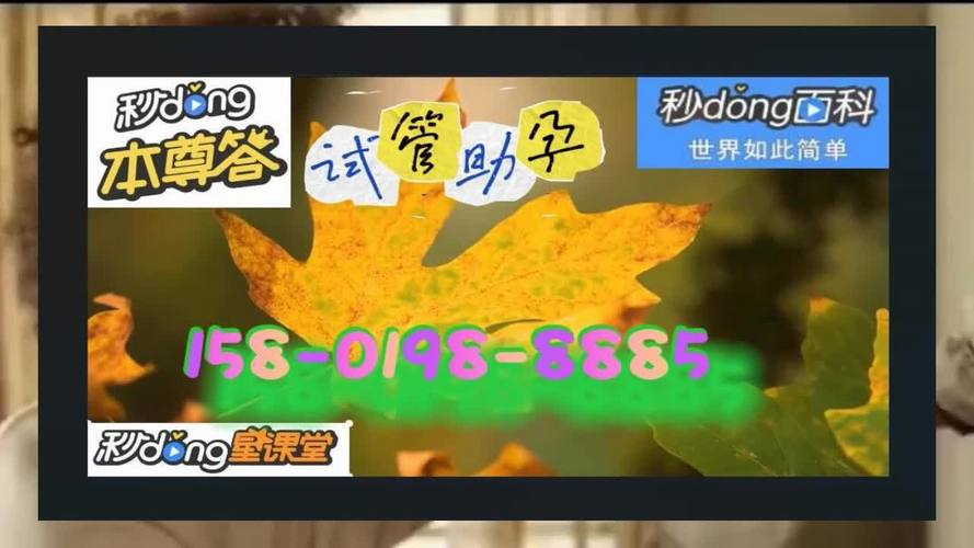 国内代生男孩价格-国内代生男孩价格大揭秘