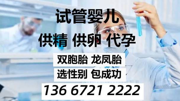 国内供卵全包试管代怀_国内供卵全包试管代怀新选择