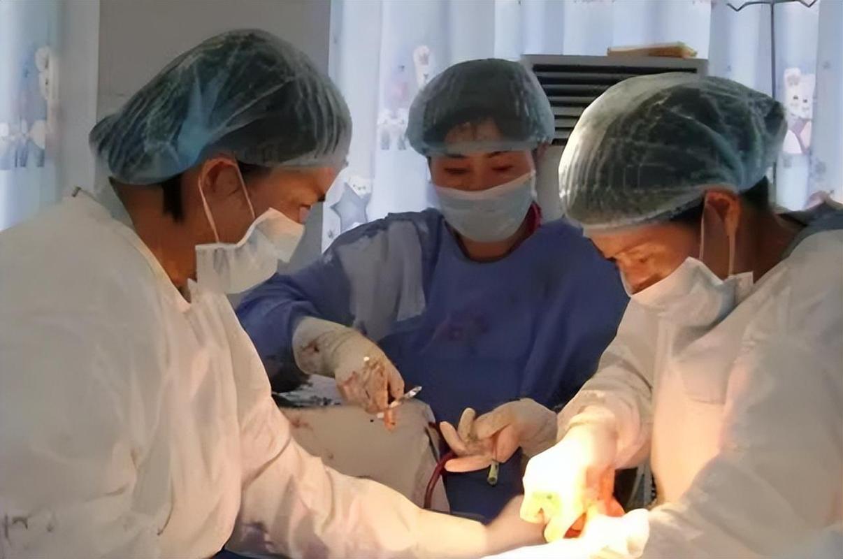 代生孩子价格联系方式_代生孩子价格联系方式查询