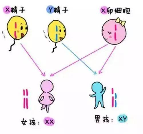 代生男孩补偿_代生男孩补偿:家庭幸福的新动力
