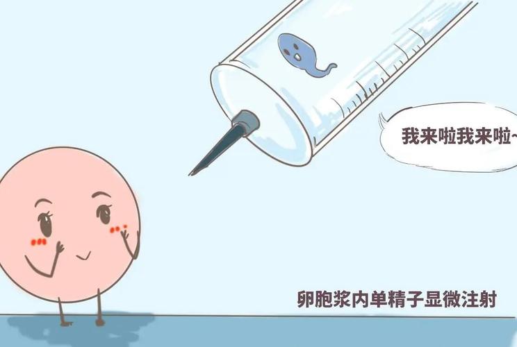 包成功试管代怀包生男孩需要多少费用(成功试管代怀包生男孩费用查询)